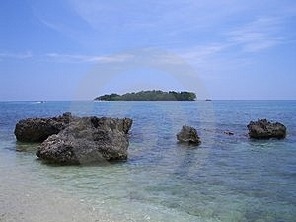 Ocean Rocks Jamaica