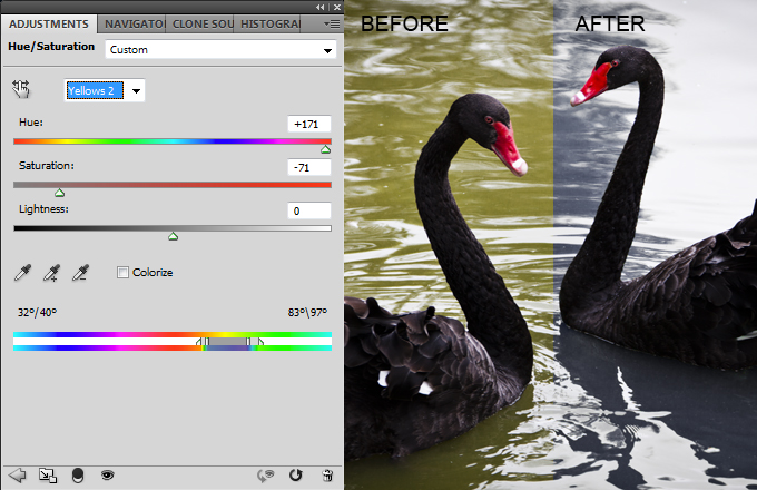 Black-Swan-Adjustment
