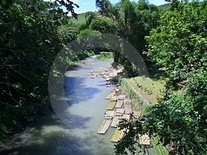 Jamaica River Raft